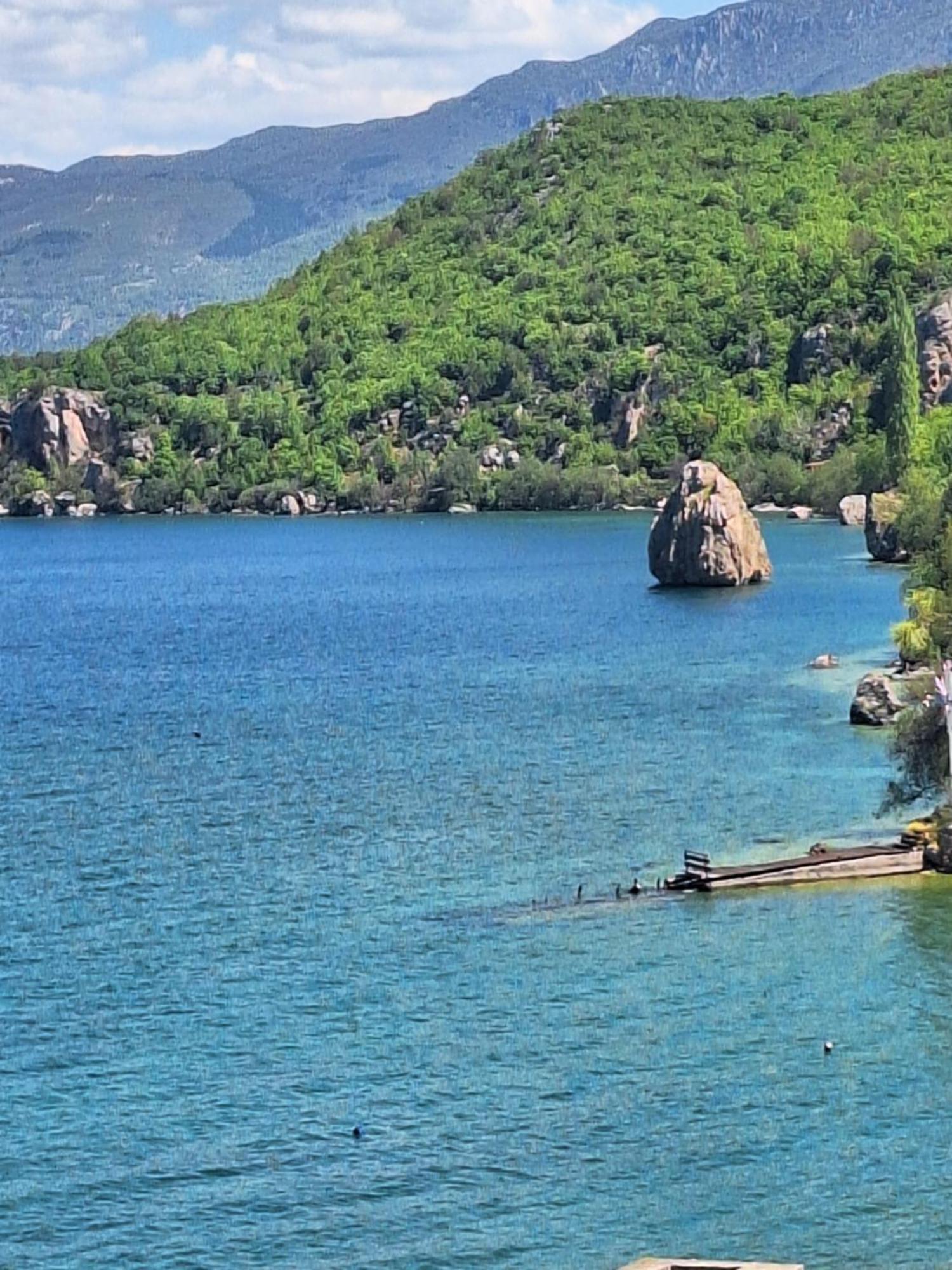 Villa Filip Trpejca Oda fotoğraf