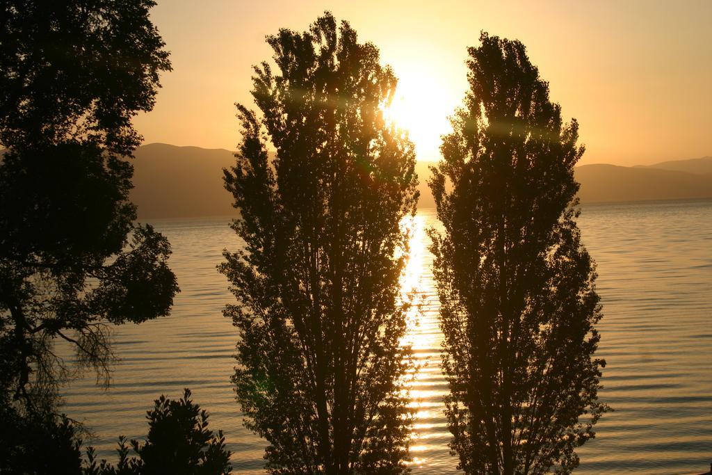 Villa Filip Trpejca Oda fotoğraf