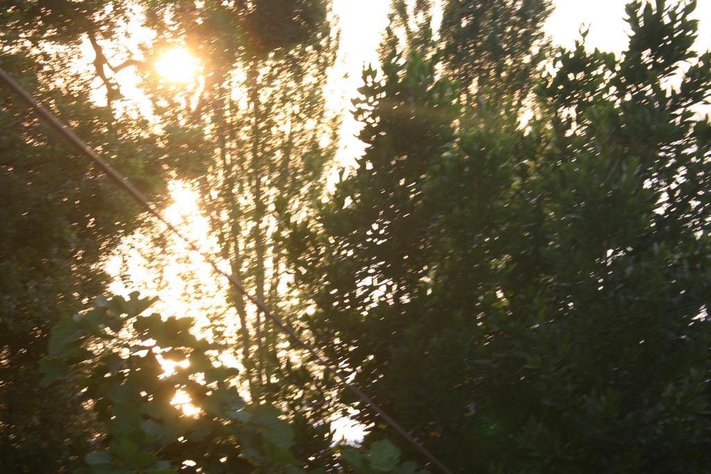 Villa Filip Trpejca Oda fotoğraf