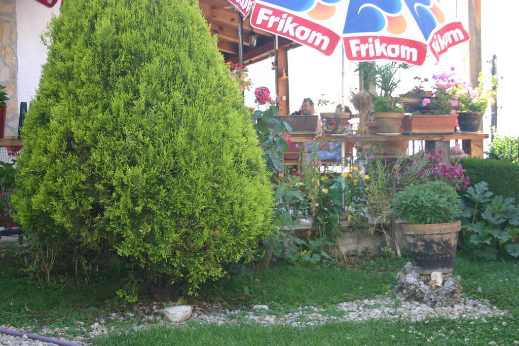 Villa Filip Trpejca Dış mekan fotoğraf