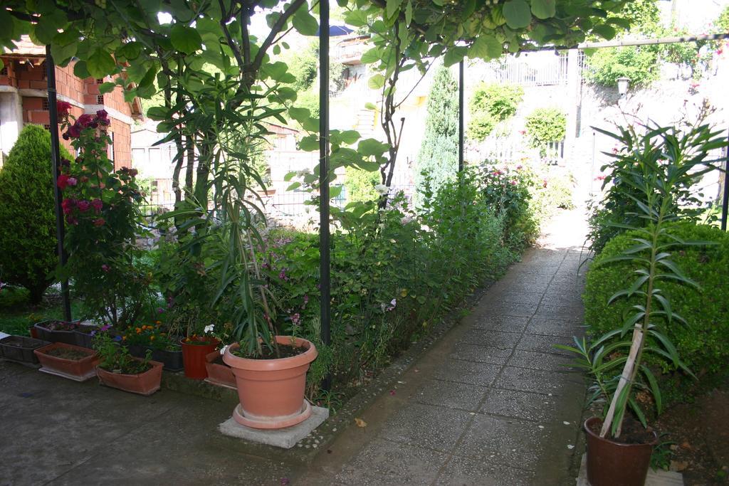 Villa Filip Trpejca Dış mekan fotoğraf