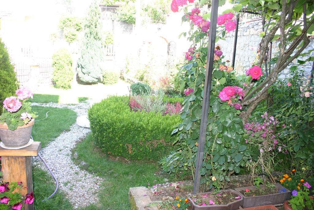 Villa Filip Trpejca Dış mekan fotoğraf